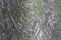 Geuffordd fibreglass roof work